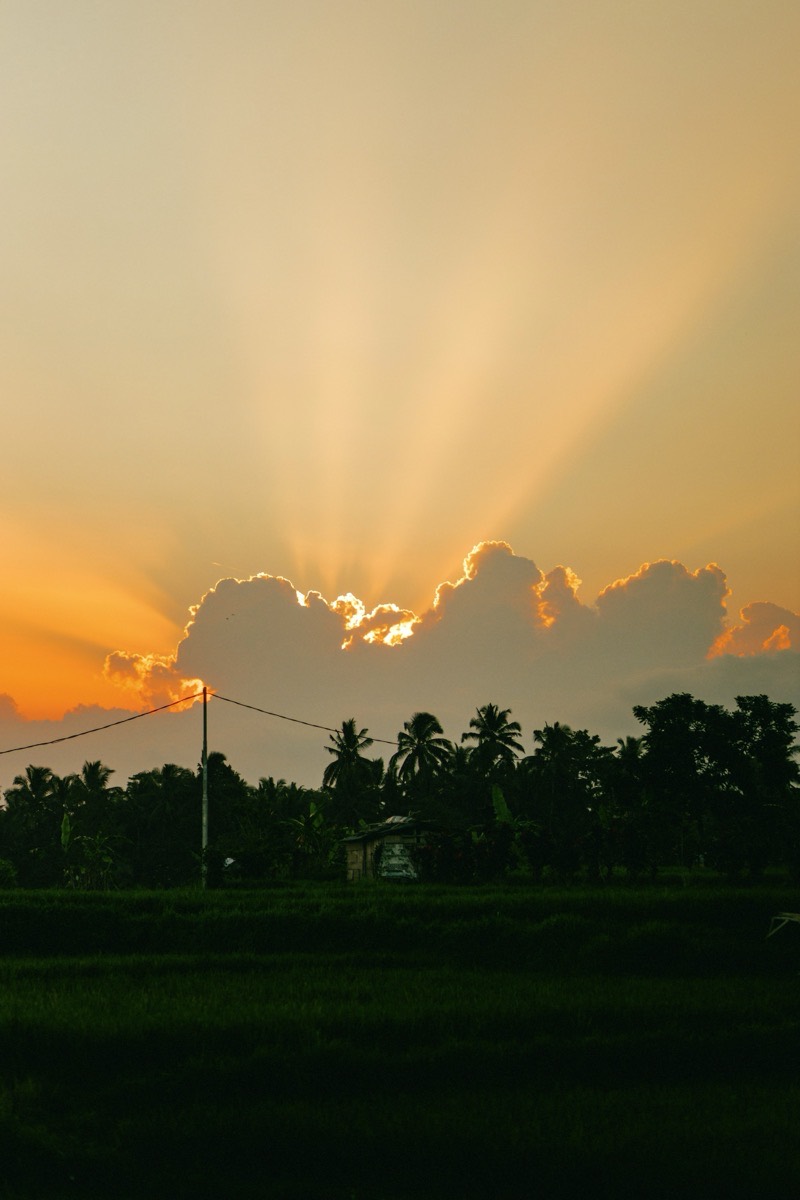 Sunset over the palms at a private retreat space in Bali