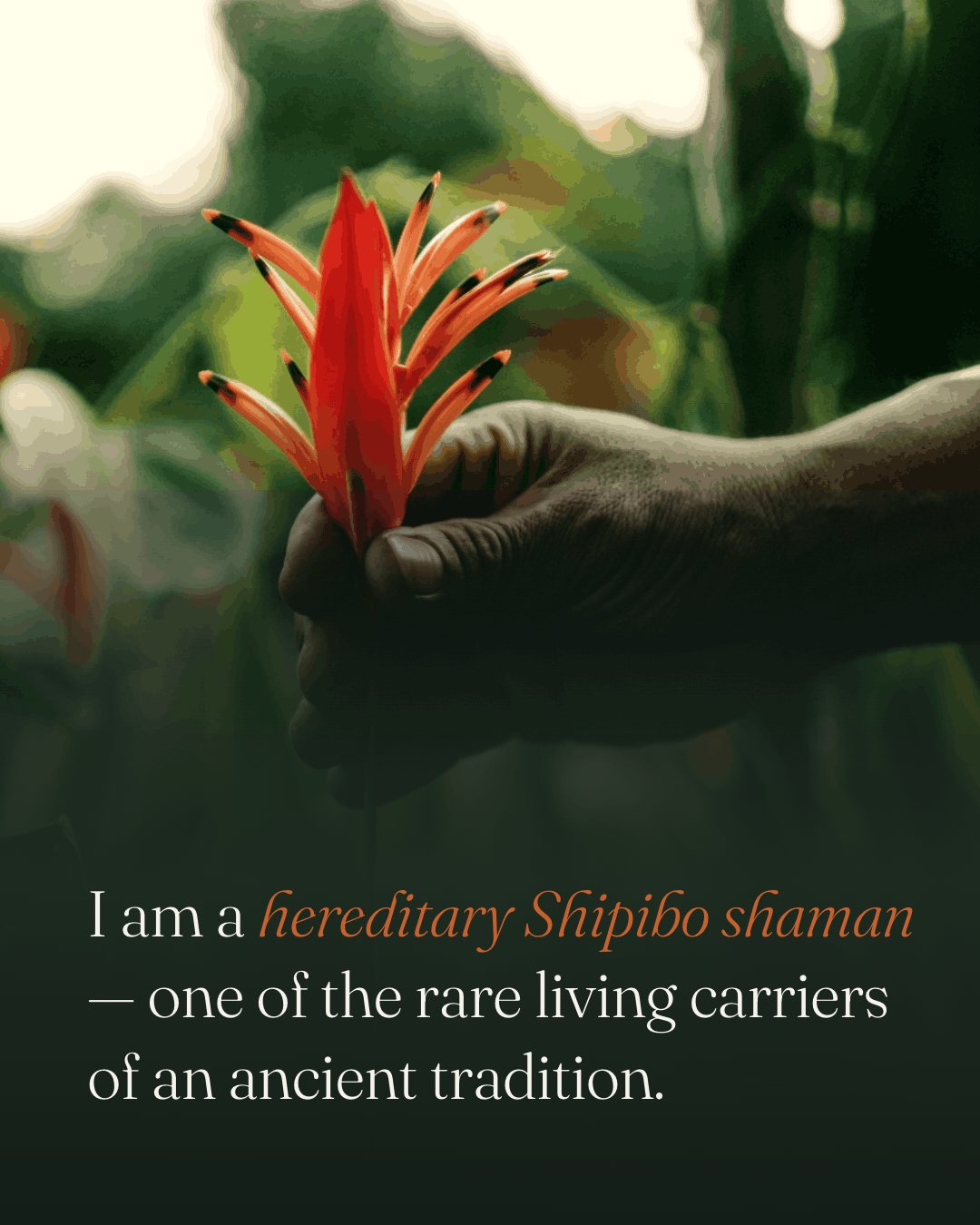 A hand holding a red heliconia flower in the Bali jungle
