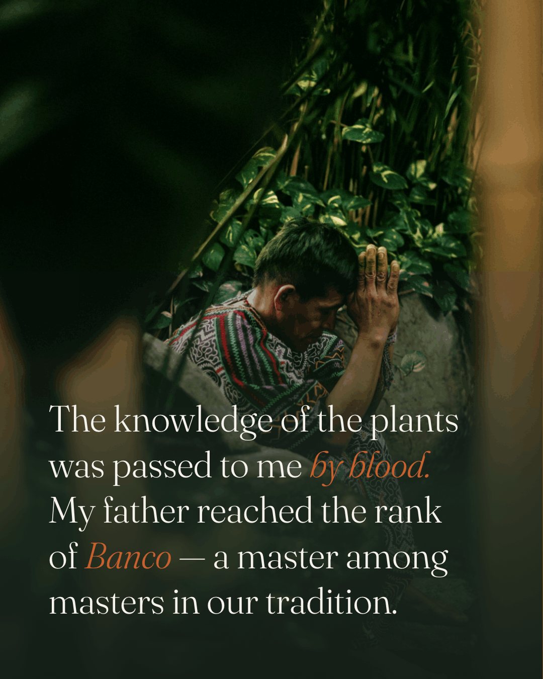 Maestro Rafael in traditional Shipibo dress among the plants, at the retreat in Bali