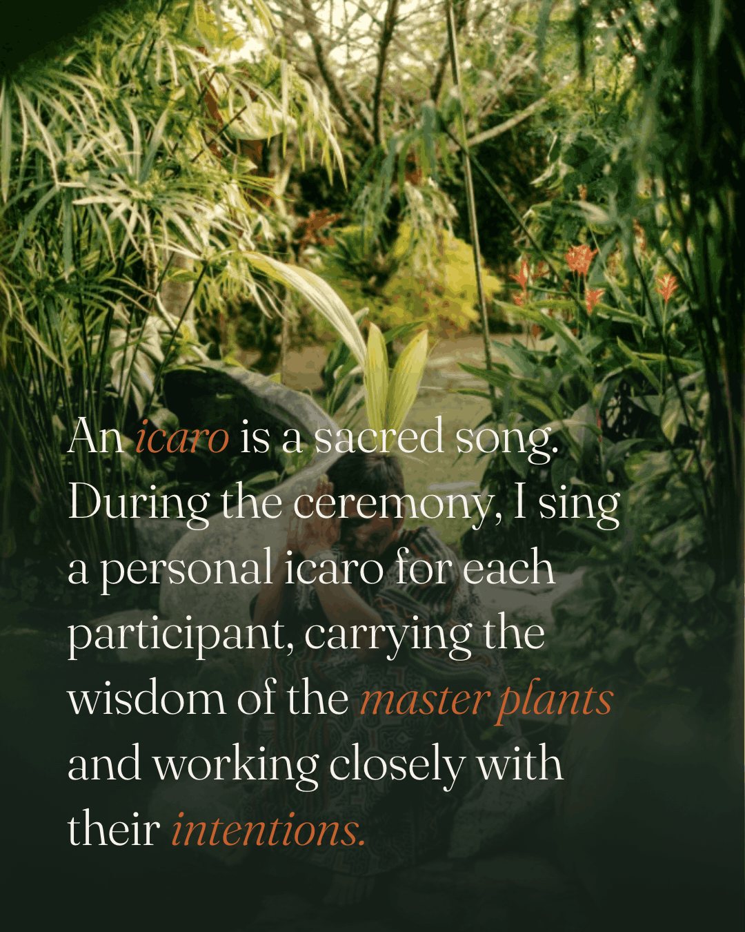 Tropical plants in the gardens of the retreat in Bali