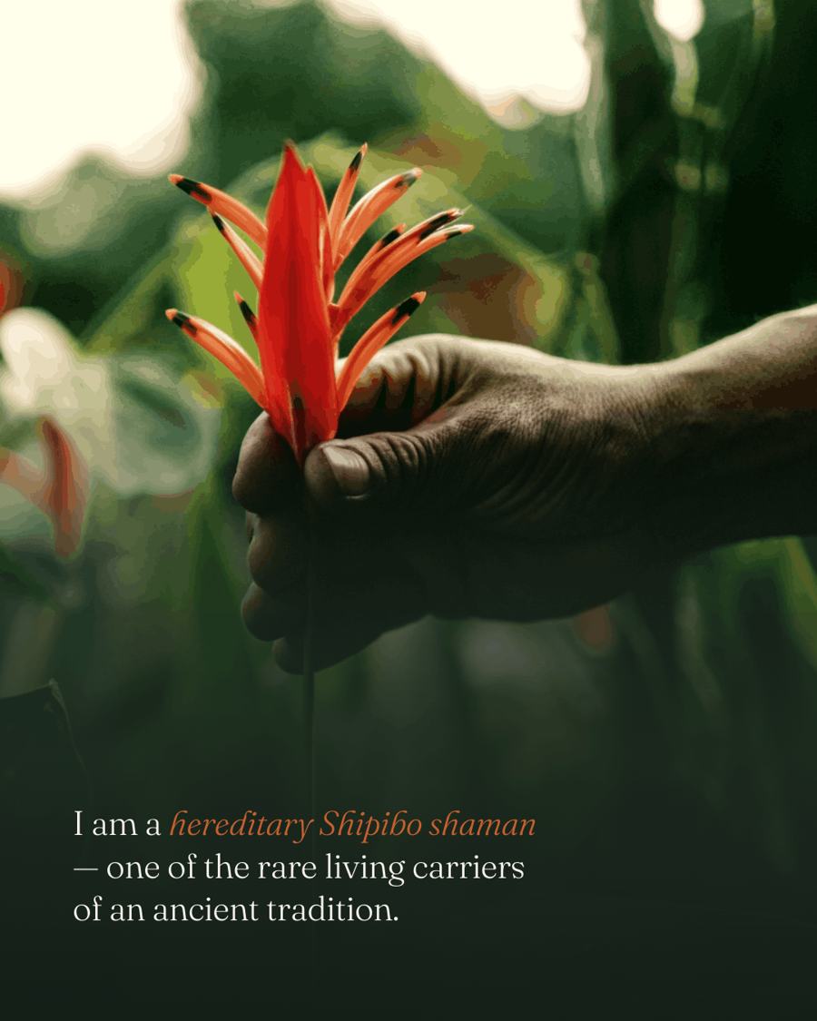 I am a hereditary Shipibo shaman, one of the rare living carriers of an ancient tradition