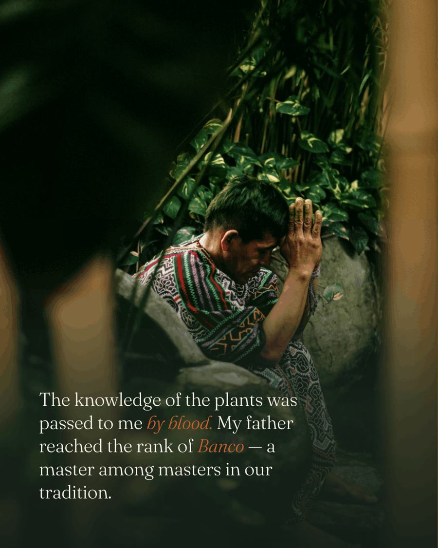 The knowledge of the plants was passed to me by blood: my father reached the rank of Banco, a master among masters