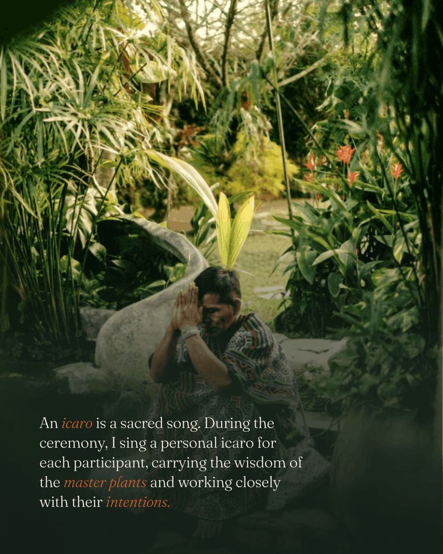An icaro is a sacred song: during the ceremony I sing a personal icaro for each participant, carrying the wisdom of the master plants